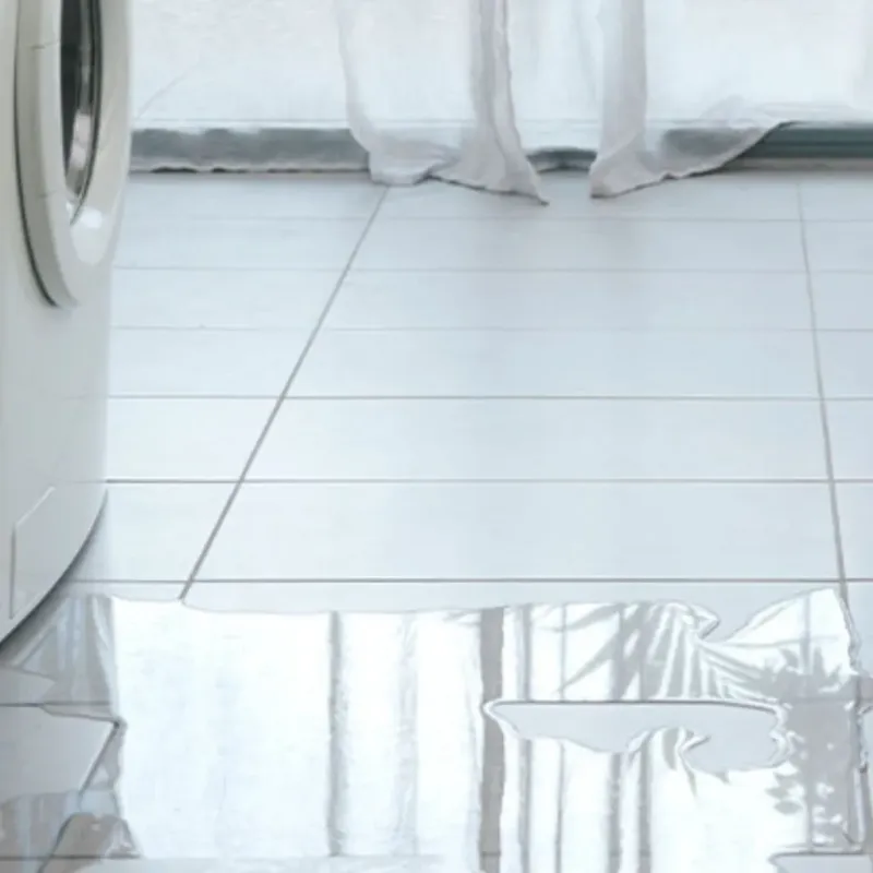 Appliance Leak Cleanup in Del Rey, CA